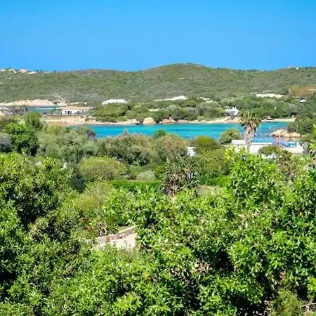 Giglio - * Liscia di Vacca